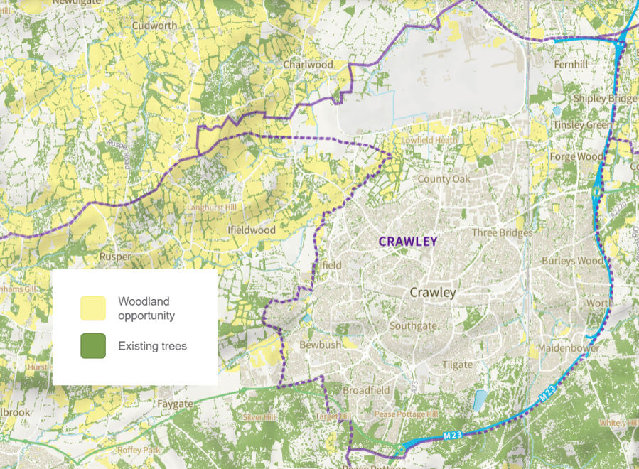 Crawley’s woodland cover
