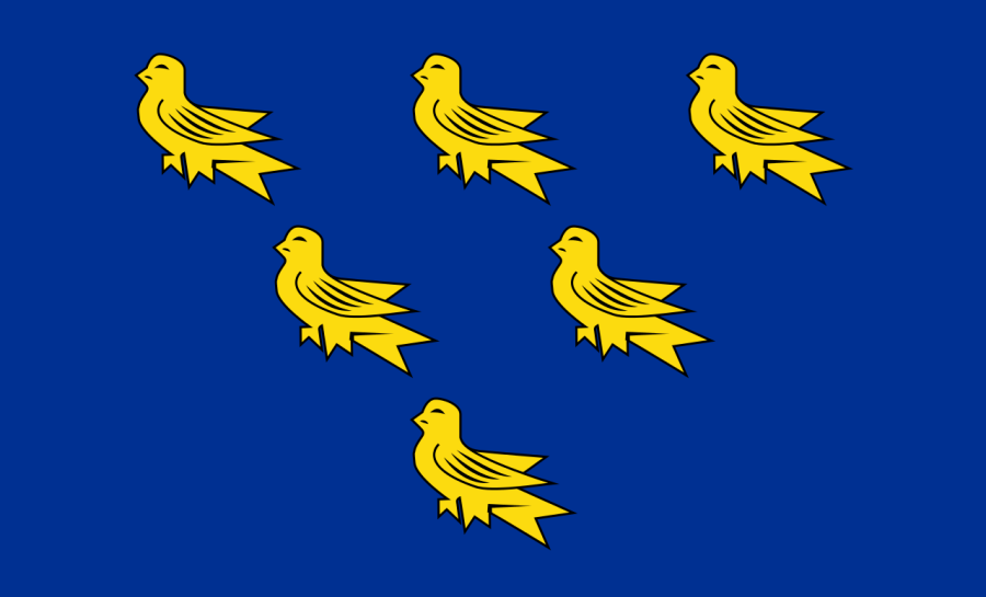 Today is Sussex Day