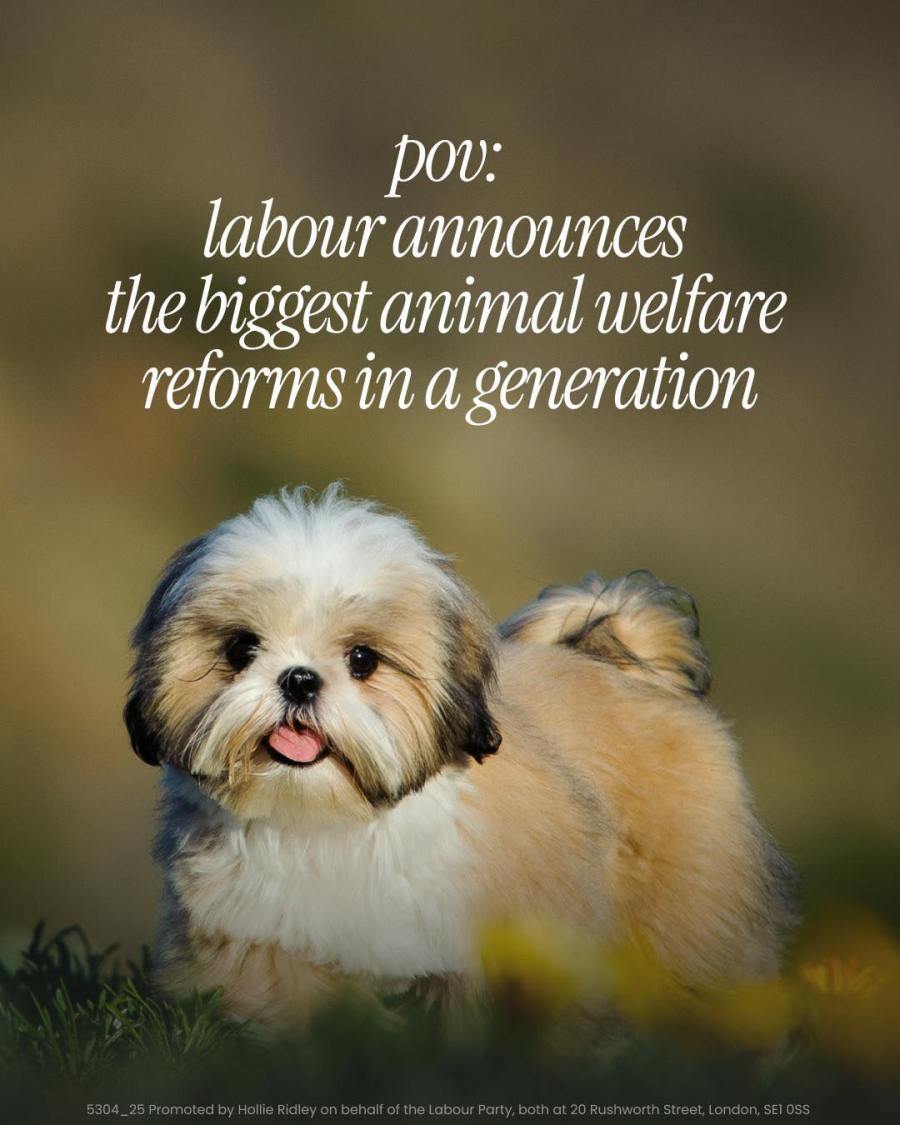 Crawley MP welcomes Government’s new Animal Welfare Strategy